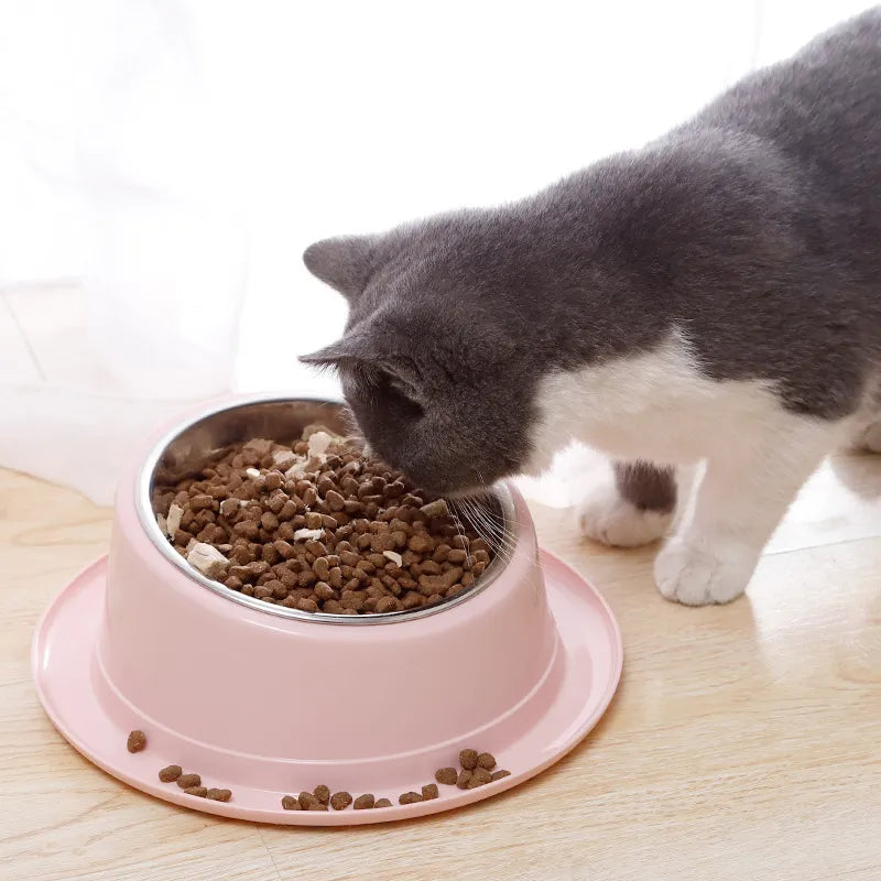 Food Bowl Cat Pet Dog Bowl Quality Stainless Steel Container