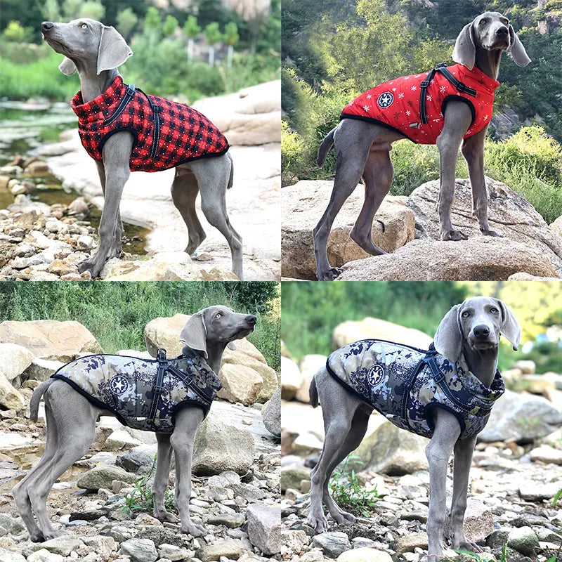 Large Dog Jacket with Harness for Winter Comfort