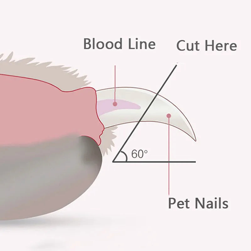 Pet Nail Clippers with Led Light Pet Claw Grooming Scissors