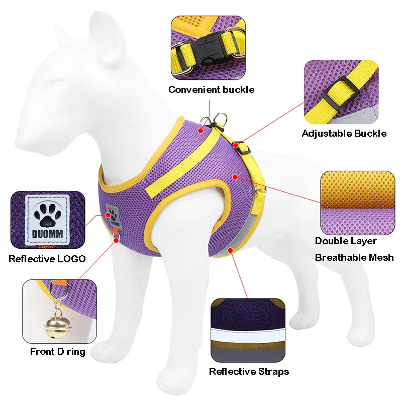 Dog Harness and Leash Set for Small Medium Dogs