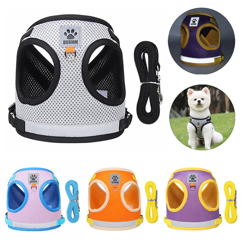 Dog Harness and Leash Set for Small Medium Dogs