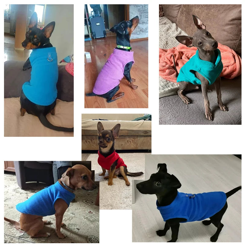 Winter Fleece Pet Clothes for Small Dogs and Cats