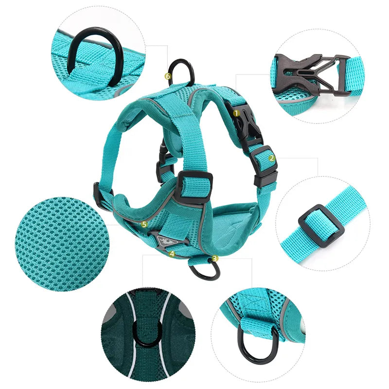 Harness and Leash Set