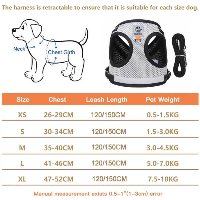 Dog Harness and Leash Set for Small Medium Dogs