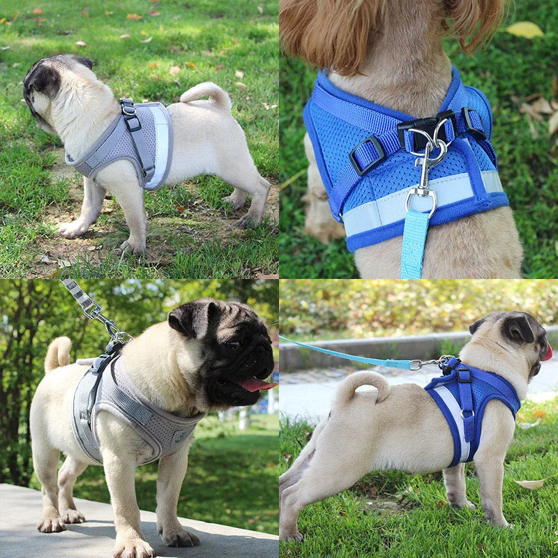 Dog Harness and Leash Set for Small Medium Dogs