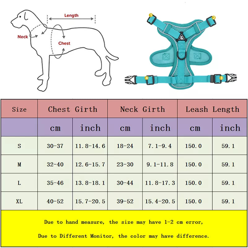 Harness and Leash Set